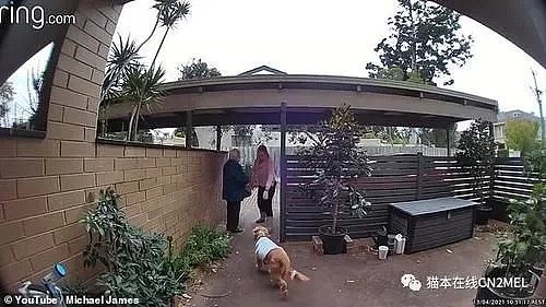 啥都要偷？澳洲一大妈民宅前院偷采辣椒，被女主人当场抓包（图） - 5