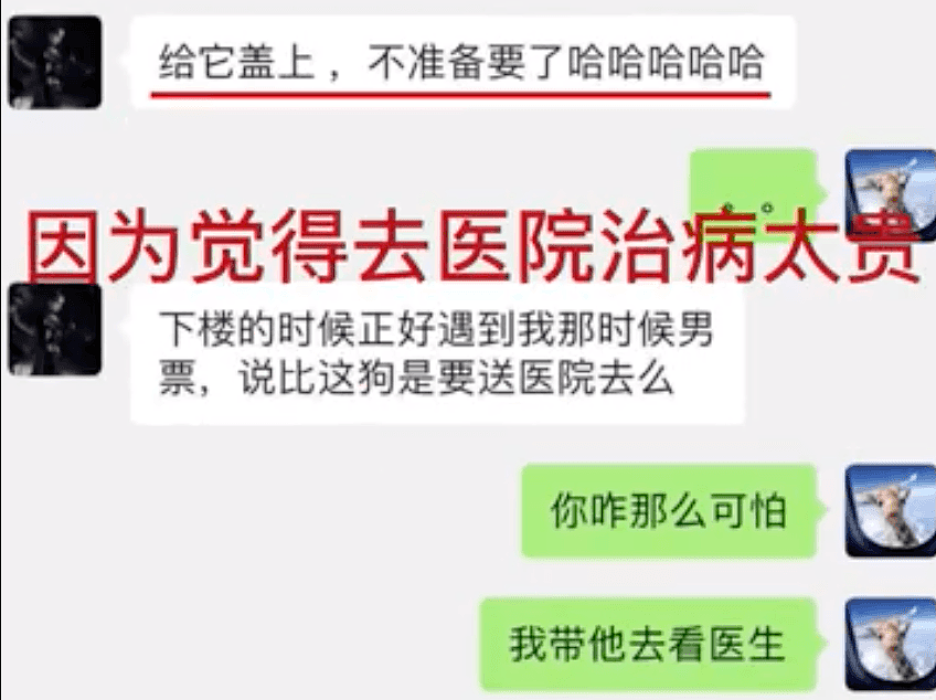 爆料升级！张恒再发文控诉郑爽偷税、漏税，称其扔掉生病的宠物狗，在超市吃东西不给钱（视频/组图） - 6