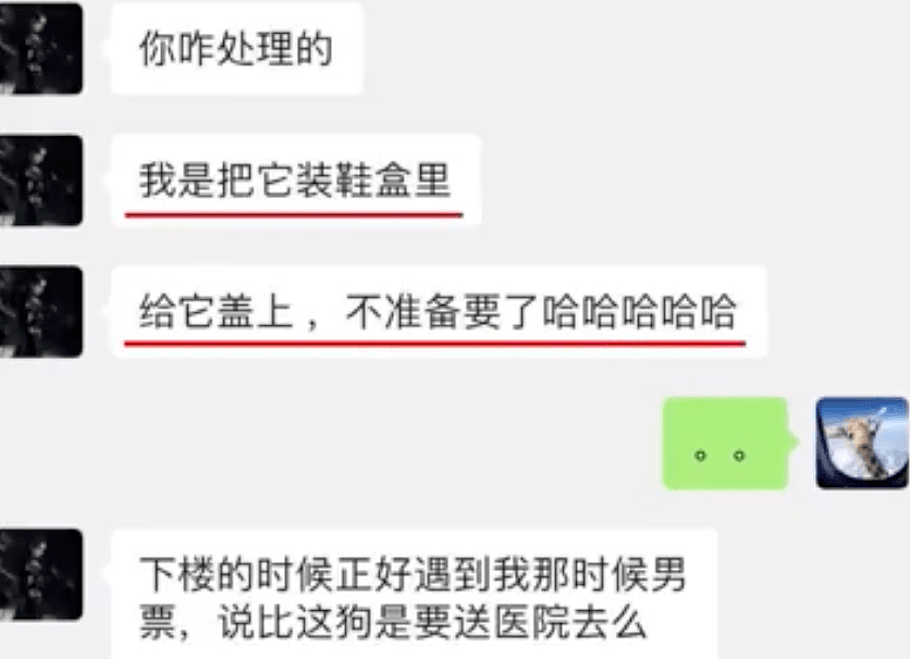 爆料升级！张恒再发文控诉郑爽偷税、漏税，称其扔掉生病的宠物狗，在超市吃东西不给钱（视频/组图） - 7