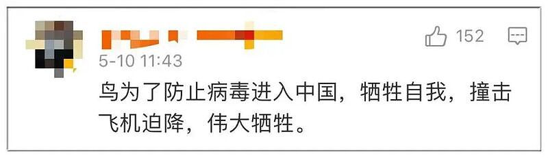 中国留学生被歹徒砍伤却被国内骂“怎么不死在外面”（图） - 13