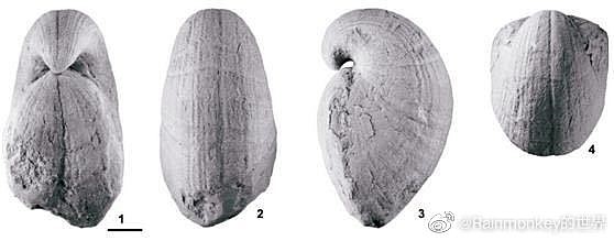 贵阳机场厕所洗手池竟布满化石 专家：距今3亿年（组图） - 3