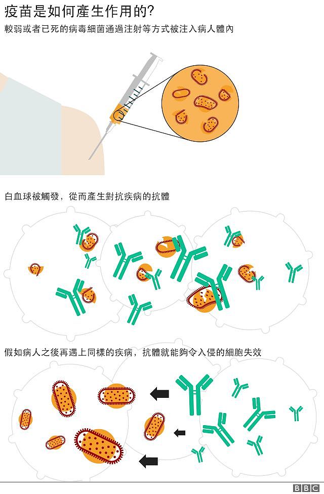 疫苗机制