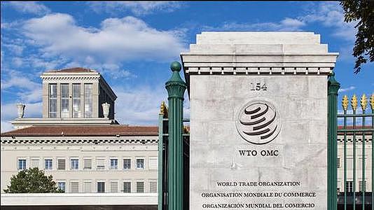 WTO成功任命4位副总干事，张向晨再返日内瓦｜全球贸易观察