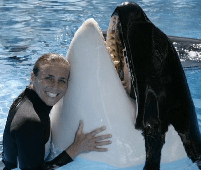 美国女驯兽师和5吨重虎鲸相爱16年，却被拖下水淹死咬得稀烂（组图） - 5
