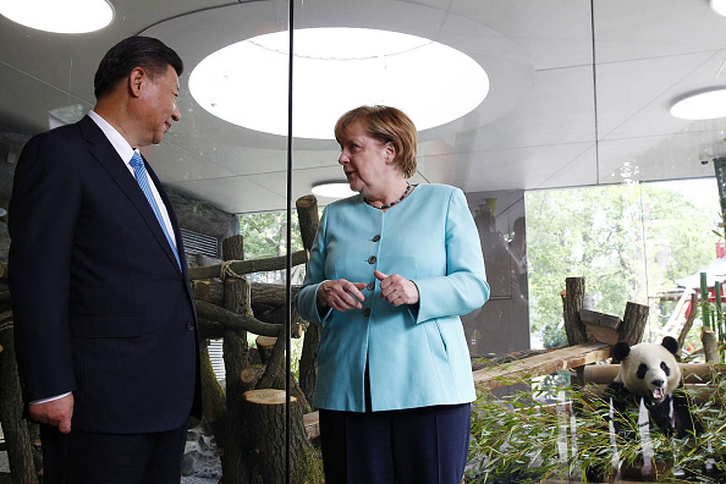 2017年7月5日，德国总理默克尔陪同到访的中国国家主席习近平在柏林动物园熊猫馆参观。（Getty Images）