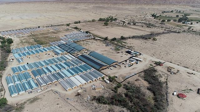 An aerial shot of the cannabis farms last summer in Shiprock, New Mexico