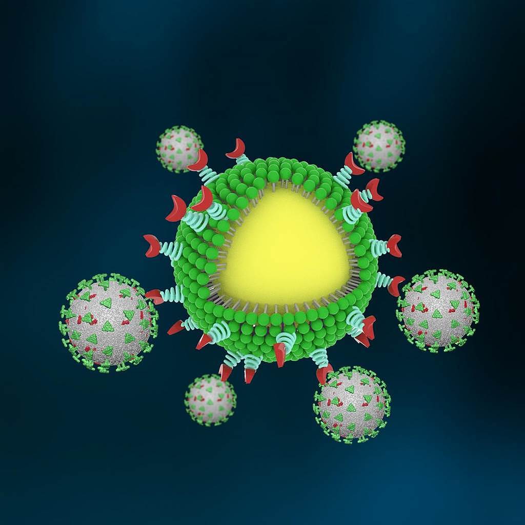 奈米陷阱捕捉病毒的意示图：中间大颗的是病毒，旁边的小球是奈米陷阱，奈米陷阱会放出仿人体细胞的特征引诱病毒前来，同时也会呼叫免疫细胞过来吞噬。 (图/廿普利兹克分子工程学院)