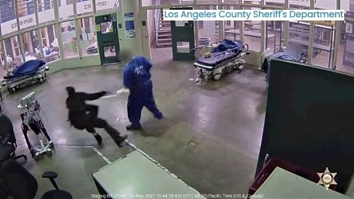 现场曝光！美国女狱警给囚犯拿厕纸，头部突遭后者重拳袭击倒地（视频/组图） - 2
