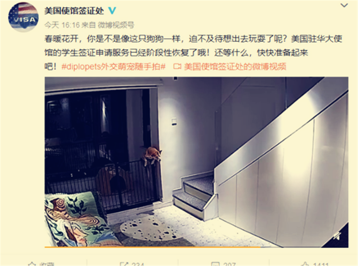 将中国留学生比作“狗”，美国使馆签证处5月5日发布的微博推文引发内地舆论不满。（微博@美国使馆签证处）