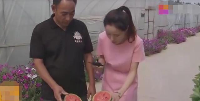 上海一大妈因西瓜太甜，直接打电话报警，市场上到底有没有打糖水的西瓜（组图） - 8