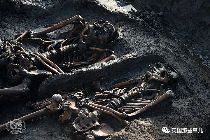 俄罗斯想克隆一群3000年前死去的战士，网友：不怕！我们有兵马俑