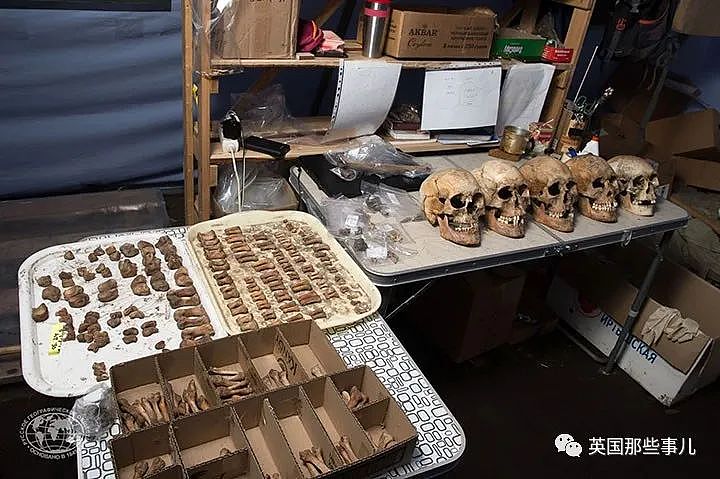 俄罗斯想克隆一群3000年前死去的战士，网友：不怕！我们有兵马俑