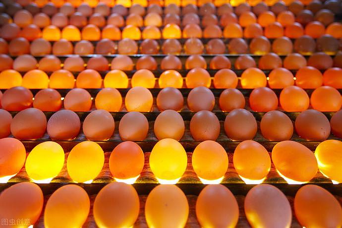 “毒鸡蛋”被媒体曝光！多批鸡蛋检出禁用药物，许多人却仍在买，关系到华人（组图） - 7
