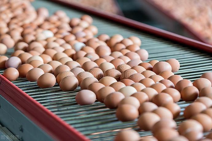 “毒鸡蛋”被媒体曝光！多批鸡蛋检出禁用药物，许多人却仍在买，关系到华人（组图） - 8