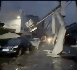 12死429伤！苏州武汉遭龙卷风袭击，大树拦腰斩断厂房屋顶掀翻（视频/图） - 4