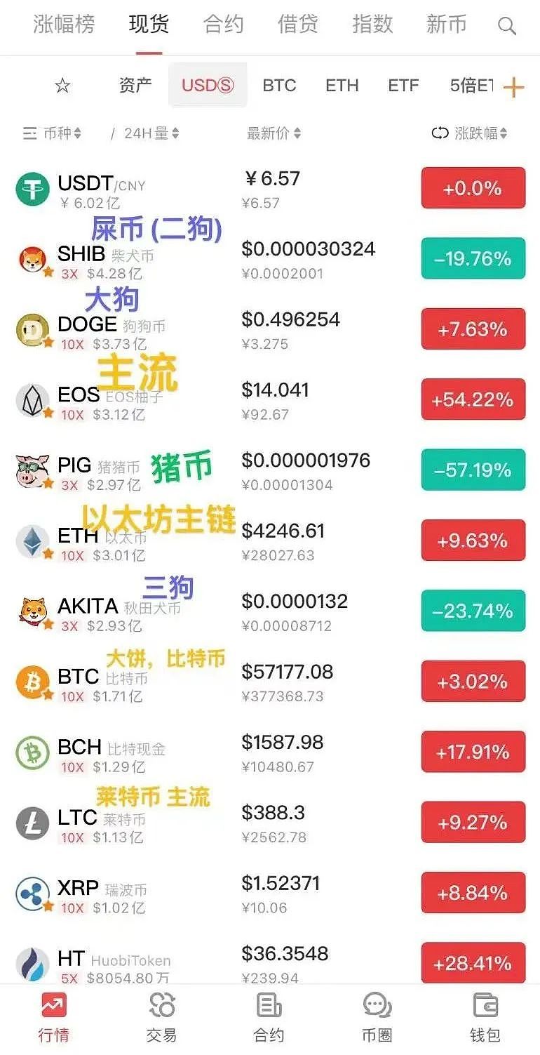 1年暴涨100倍！币圈杀疯了，无数投资者却被坑惨了