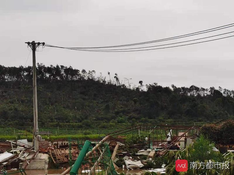 探访遭龙卷风袭击的武汉村庄：掠过之处山林树木被“剃头”