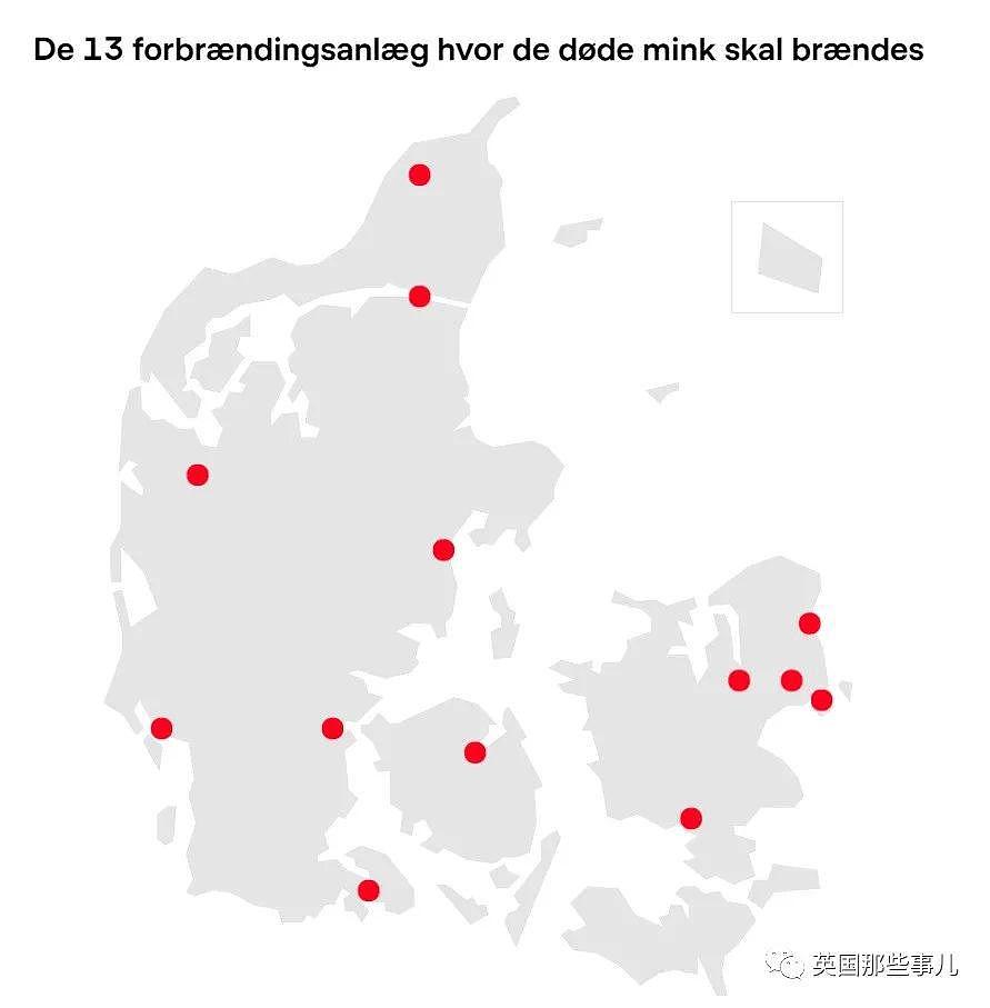 丹麦去年杀光水貂，如今又要把13000吨尸体挖出来（组图） - 11