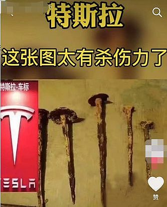 维权事件后，特斯拉车主均被歧视：感觉开车像犯罪（视频/组图） - 13