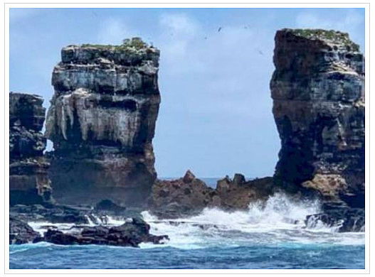 ▲▼加拉巴哥群岛地标「达尔文拱门」倒塌。 （图／取自CFACT脸书）