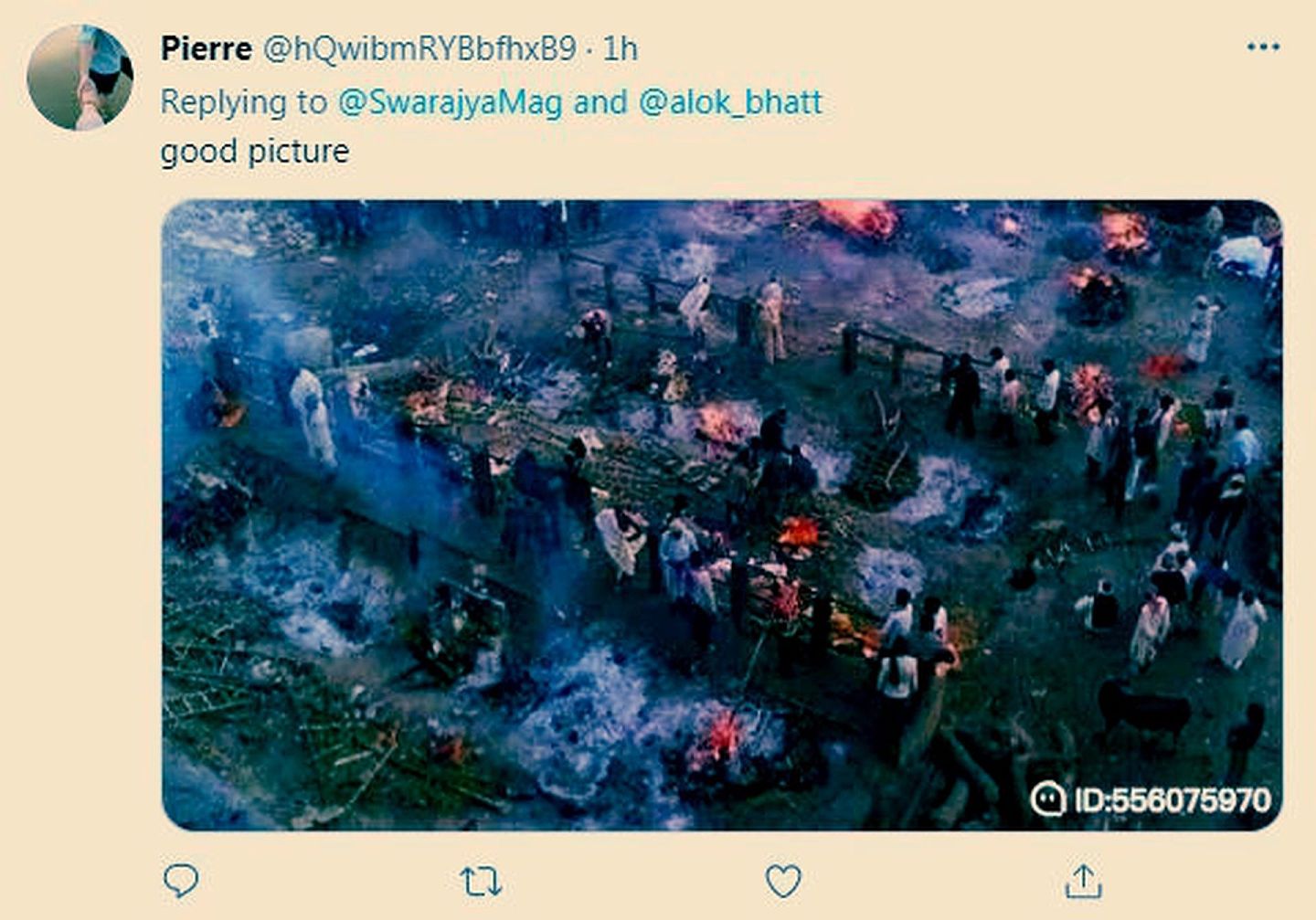 有网民在评论时留下印度焚烧遗体的照片。（Twitter@SwarajyaMag）