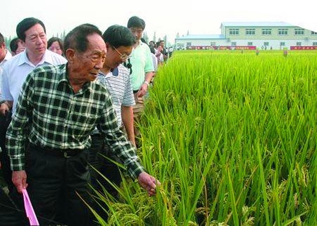 袁隆平：你们都不知道，没有华国锋的支持，我哪有那么大知名度？