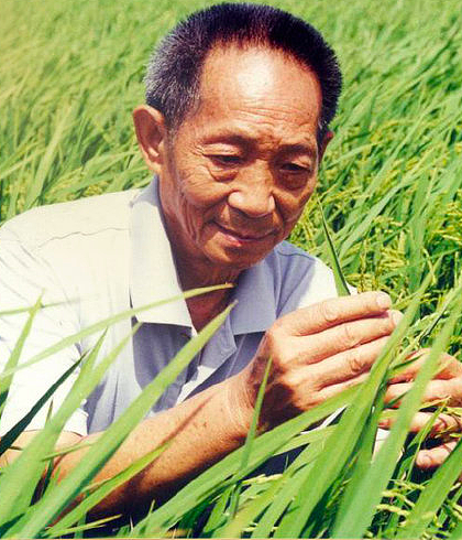 泪别袁隆平！雕像下围成花海，长沙市菊花被买空，鸣笛声响彻天际