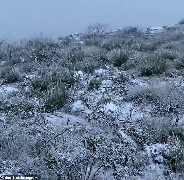 超强冷锋横扫澳洲东海岸！部分地区迎来降雪，强风、雷暴、沙尘都在路上（组图） - 2