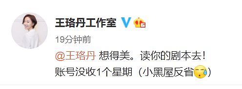 王珞丹疑似退出演艺圈？出道17年演66部作品，凭一个角色爆红全国（组图） - 12