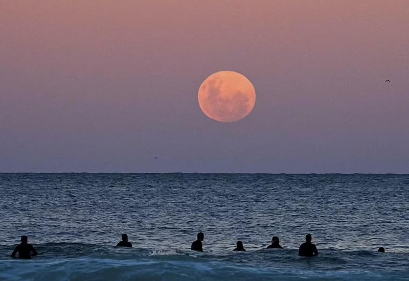 一大波美照来袭！“超级血月”点亮澳洲上空，你看到了吗？（视频/组图） - 3