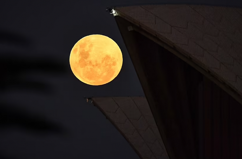 一大波美照来袭！“超级血月”点亮澳洲上空，你看到了吗？（视频/组图） - 5