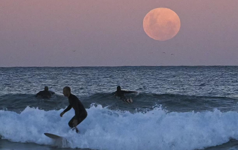 一大波美照来袭！“超级血月”点亮澳洲上空，你看到了吗？（视频/组图） - 4