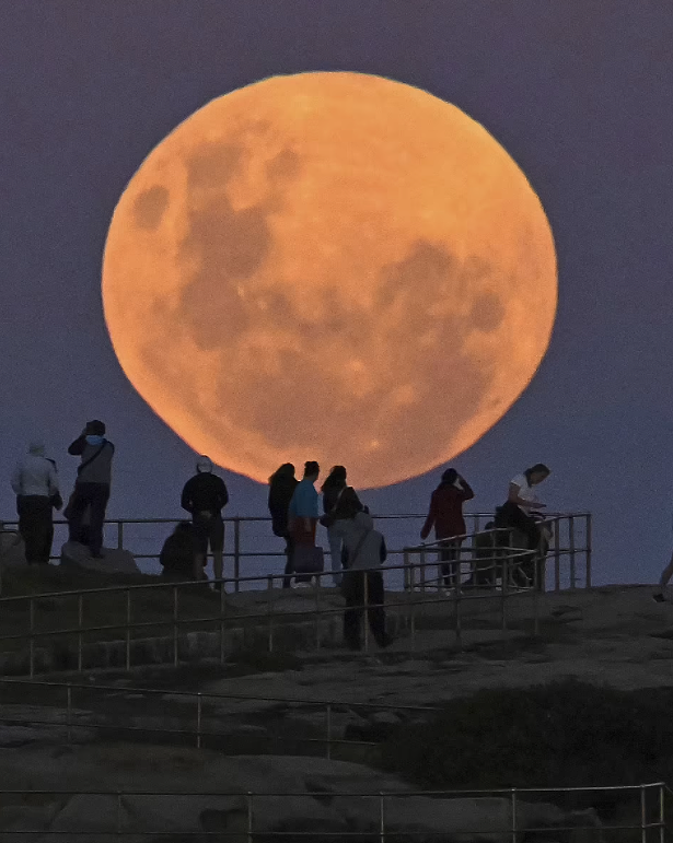 一大波美照来袭！“超级血月”点亮澳洲上空，你看到了吗？（视频/组图） - 2