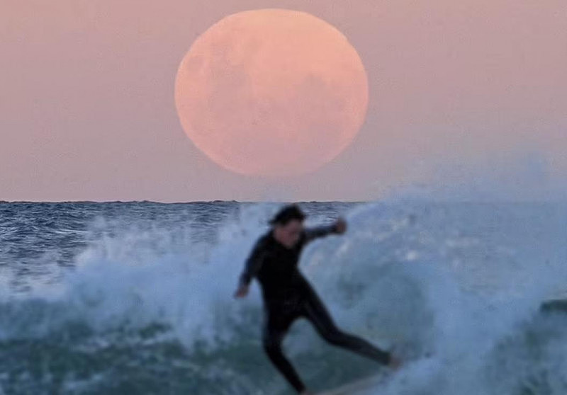 一大波美照来袭！“超级血月”点亮澳洲上空，你看到了吗？（视频/组图） - 10