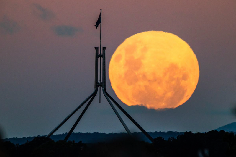 一大波美照来袭！“超级血月”点亮澳洲上空，你看到了吗？（视频/组图） - 18