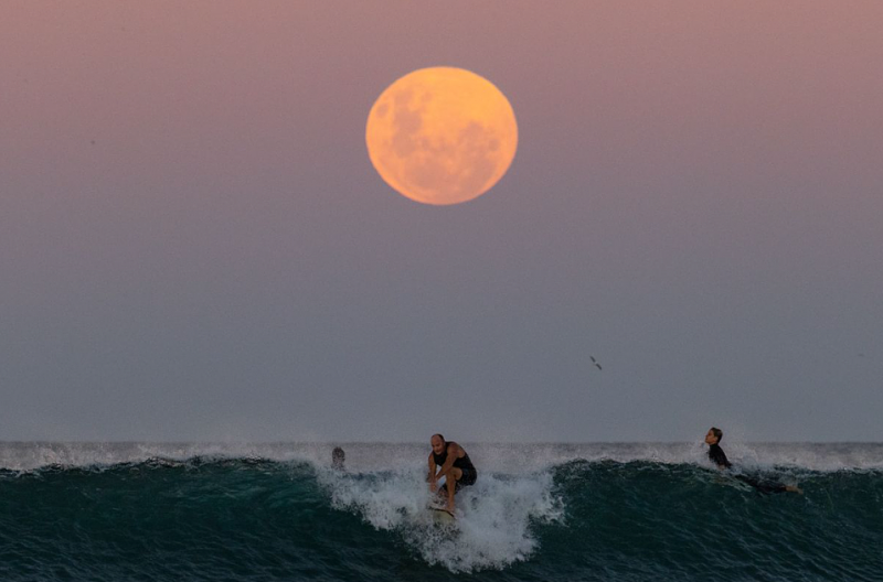 一大波美照来袭！“超级血月”点亮澳洲上空，你看到了吗？（视频/组图） - 17