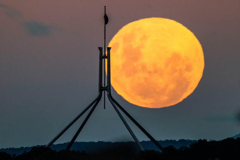 一大波美照来袭！“超级血月”点亮澳洲上空，你看到了吗？（视频/组图） - 19