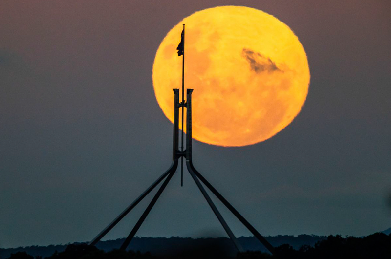 一大波美照来袭！“超级血月”点亮澳洲上空，你看到了吗？（视频/组图） - 20