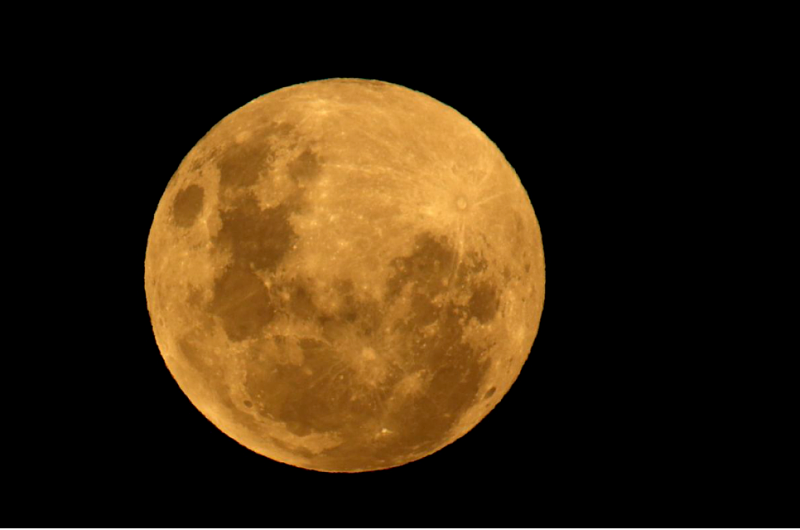 一大波美照来袭！“超级血月”点亮澳洲上空，你看到了吗？（视频/组图） - 25