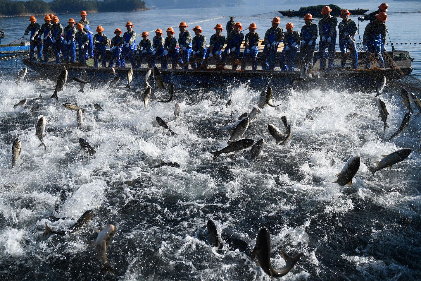 2018年11月28日，中国捕捞队员在千岛湖进行巨网捕鱼。（新华社）