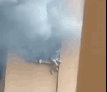 重庆高楼住宅火灾，23岁女子爬到窗外避险坠楼身亡！惊悚一幕被拍下（视频/组图） - 3