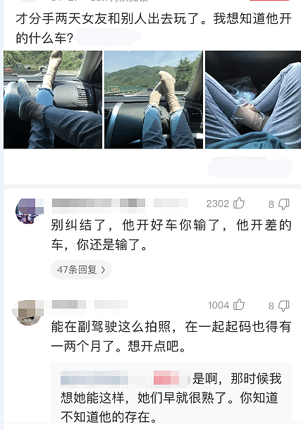 【爆笑】“买的壁虎越长越大，这是澳洲的吗”？看着是有点吓人啊！哈哈哈（组图） - 2