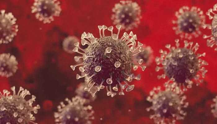 940492-covi-19-virus.gif,0