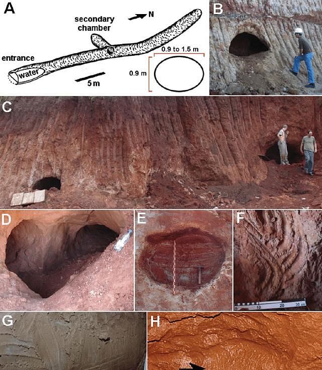 谁挖的？神秘的巴西13000年前隧道 高达上千条（组图） - 6