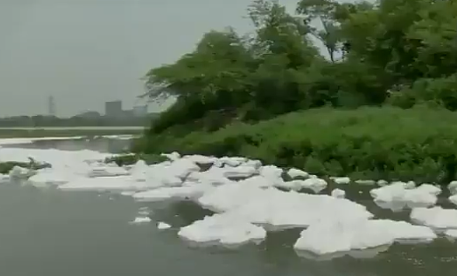 印度恒河最长支流漂浮有毒泡沫：厚厚一层盖住河面（组图） - 2