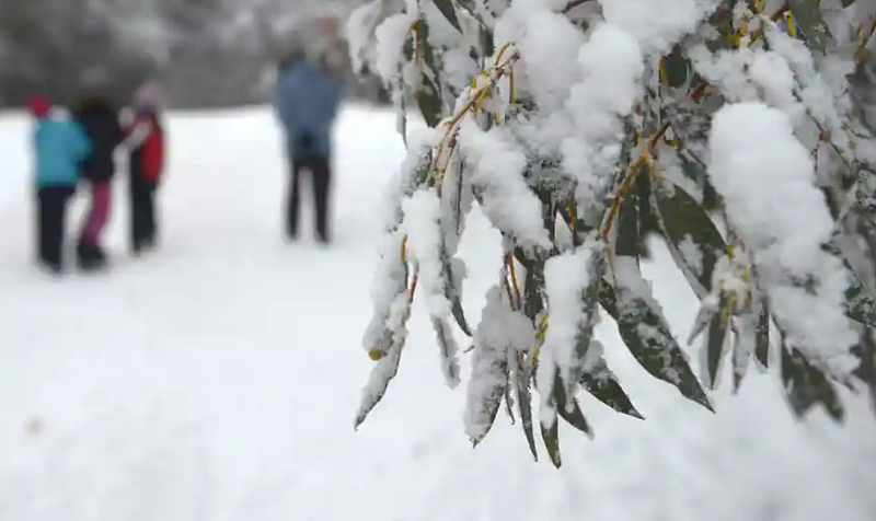 冬季风暴席卷全澳数州！多地将迎降雪冰雹，雷雨强风也在路上（组图） - 2