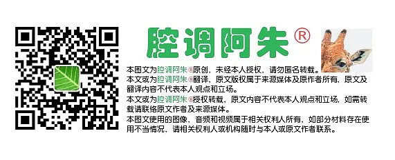 时间的沉淀之白菜无罪 - 1