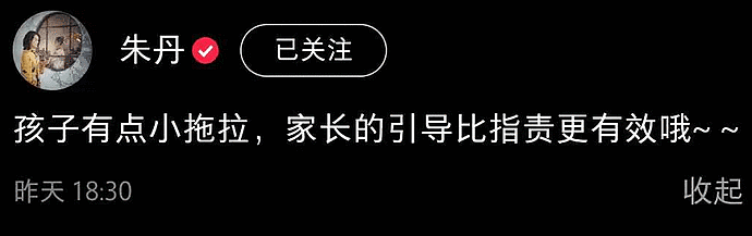 主持人朱丹罕见晒娃，4岁小小丹上蹿下跳超活泼，豪宅内景也曝光（组图） - 1