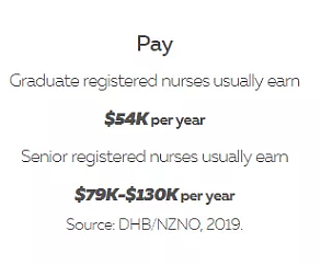 新西兰热门移民专业——护理（如何成为新西兰注册护士） - 4