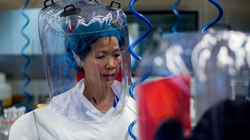 石正丽在武汉病毒研究所的P4实验室。 （Getty Images )